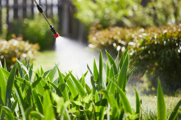 24/7 Emergency Mosquito Control experts in Palm Coast, FL