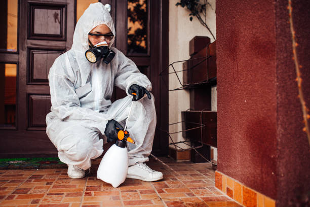 Reliable Mosquito Control contractor in Palm Coast, FL by Show Me Pest Control